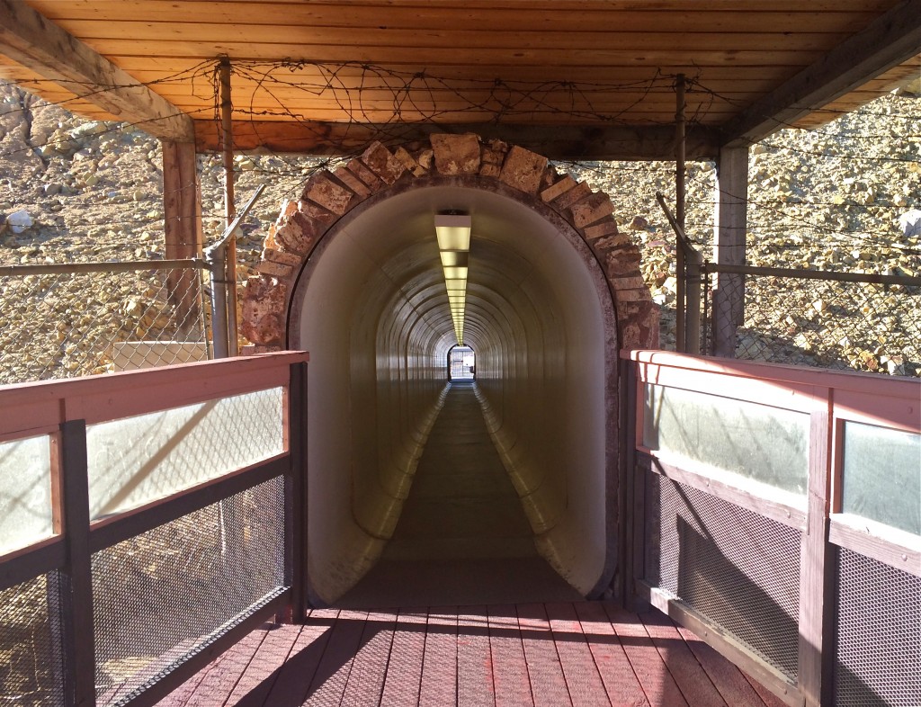 Down the tunnel to the viewing platform. 