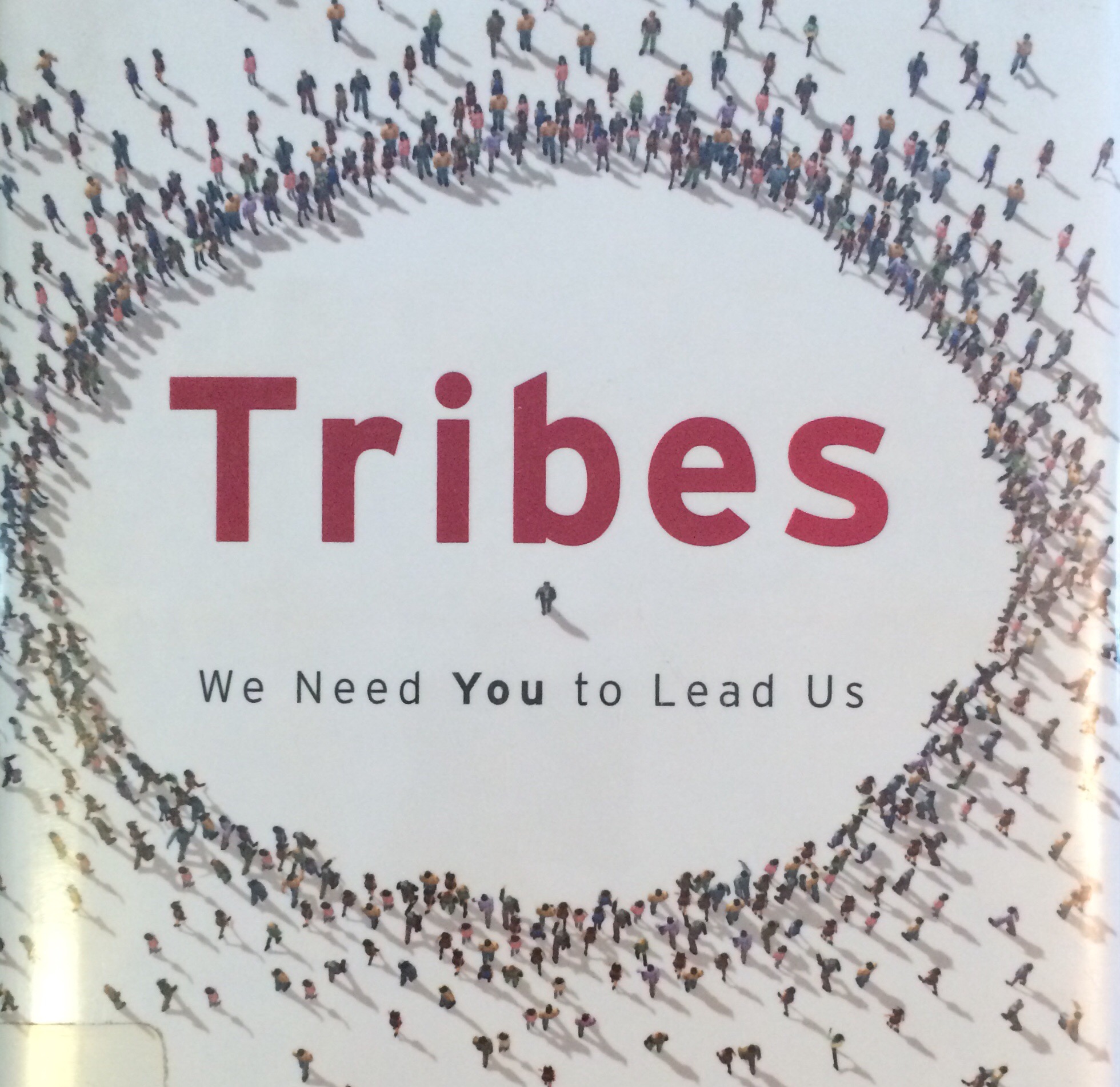 Tribes, Seth Godin